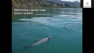 Investigating cetacean bycatch with Dr Nick Tregenza