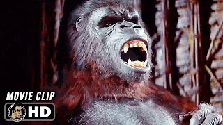 KING KONG Clip - "Capturing King Kong" (1976)