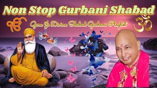Non Stop Gurbani Shabad || Guru Ji Divine Shabad Gurbani Playlist || Guru Ji blessed Shabad ||