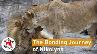 The Bonding Jouney of Nikolyna