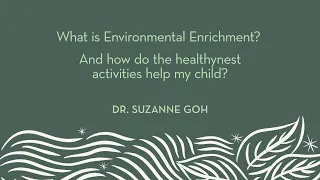 Healthynest | Dr. Goh | What is Environmental Enrichment?