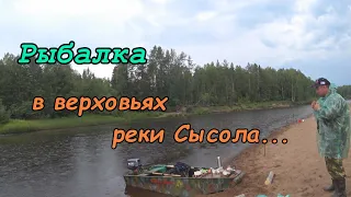 Рыбалка в верховьях реки Сысола. Лодочный мотор Sea Pro 9.8 New копия Tohatsu 9.8