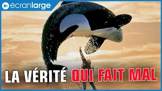 SAUVEZ WILLY : le plus gros mensonge de votre enfance