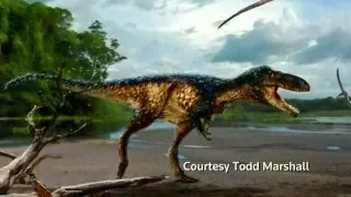 Meet Timurlengia - T. Rex's older cousin