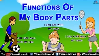 Functions Of My Body Parts