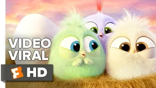 The Angry Birds Movie VIRAL VIDEO - Hatchlings Mother's Day (2016) - Jason Sudeikis Movie HD