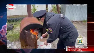 Полицейские Пыть-Яха уничтожили более 6 кг. наркотиков