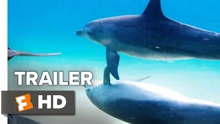 Disneynature's Dolphins Trailer #1 (2018) | Movieclips Trailers