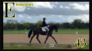 Elementary 43 - British Dressage - Hunters Equestrian