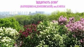 Вадим Крищенко "Відцвітають бузки" (муз.В.Домшинського, вик.Я.Михайлович),автор кліпу І.Павленко