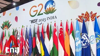What Singapore can bring to the table at the G20 summit