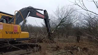 Розліснення території. Корчування старих насаджень, садів