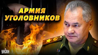 Шойгу собирает новое войско уголовников, унюхав конец империи