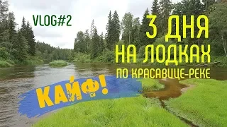 Рыбалка на дикой речке. Огромный ГОЛАВЛЬ. #ADVENTURESBROTHERS