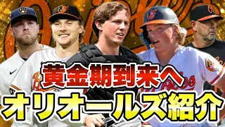 【MLB】黄金期到来へ！ボルチモア・オリオールズ紹介！