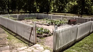 Seeds of History: The Kitchen Garden