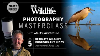 Episode Five: Ultimate wildlife hides – interview with Bence Mate