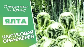 Крым. Ялта. Кактусовая оранжерея Никитского ботанического сада