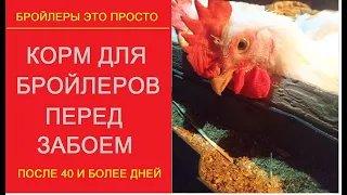 корм для бройлеров суперфиниш доступно и подробно, своими руками