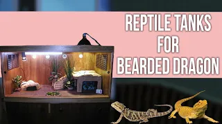 5 Best Reptile Tanks for Bearded Dragon