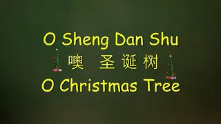 O Tannenbaum / O Christmas Tree  噢 圣诞树 O Sheng Dan Shu