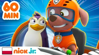 Psi Patrol | GODZINA najlepszych zwierzęcych akcji ratunkowych! | Nick Jr.