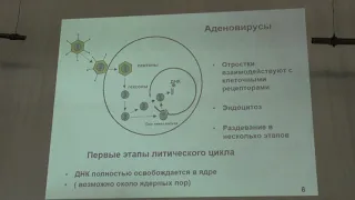 Карпова О. В. - Вирусология - ДНК-содержащие вирусы. Часть 1