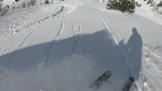 Powder in Hochfügen, March 2019