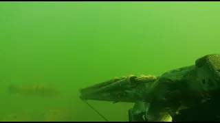 PESCA SUB RIO GRANDE UM VÍDEO UAISUB