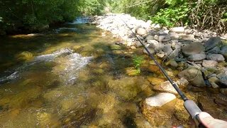 Pescando truchas salvajes en aguas cristalinas - Pesca en un río de montaña de ensueño.