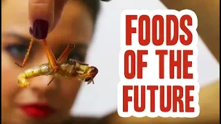 Foods of the Future: Bugs