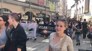 Fridays for Future: Salzburger gehen fürs Klima auf die Straße