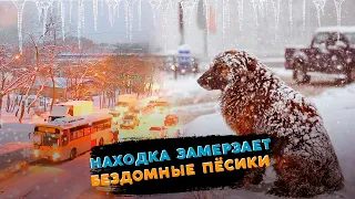 Это Находка, детка! (№11) Первый выпуск 2021 года