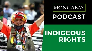 Podcast:  The key role of Indigenous rights in the future of biodiversity conservation