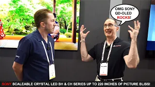 Sony Dazzled Us with Their Crystal 110" LED Wall and Bravia XR A95L QD-LED Displays
