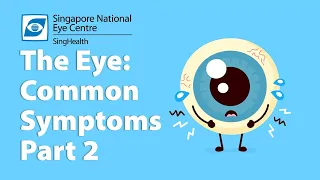 Common Eye Symptoms (Part 2): Eye Discharge, Red Eyes, Itchy Eyes & Pain in the Eyes