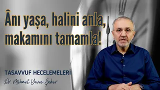 Hayatımız, hal ve makamdan ibaret bir süreçtir | Tasavvuf Hecelemeleri 10 | MEHMET YAVUZ ŞEKER