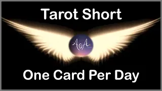 Daily Short Tarot Reading  Thursday 23 Sept - All signs