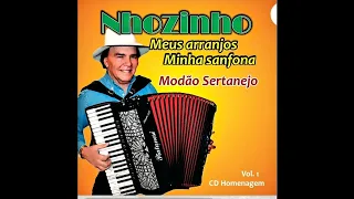 Ta Fazendo Um Ano | Vone & Wanderley ft. Nhozinho | Part.:  Nando Moreno.