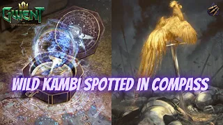 GWENT | Wild Kambi Spotted Twice | Double Or Triple Shupe Meme | Feel Bad For Opponent