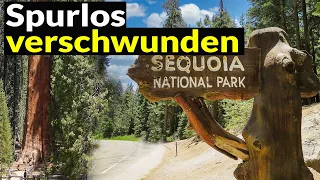 Sequoia National Forest Mysteries:  Teil 1