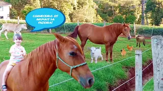 Cavalo vaca galinha ovelha e cachorro na fazenda som dos animais da fazenda | horse cow