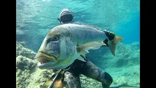 Spearfishing Croatia - "Destination unknown" by Max