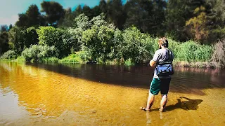 Рыбалка в красивейших местах Брянской области.  Спиннинг-Ультралайт.