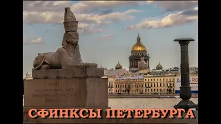 Легенды Петербурга : Сфинксы Петербурга