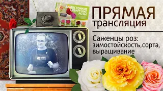 АЛТАЙСКИЕ САЖЕНЦЫ РОЗ: ЗИМОСТОЙКОСТЬ, СОРТА, ПОСАДКА и УХОД. Прямой эфир (21.02.2020)