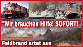 🔥FLAMMENFRONT breitet sich rasend schnell aus⚠️Großbrand im Leipziger Norden🔥🛑EINSATZ AM LIMIT🚒🚨