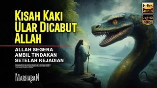 Sejarah Langka di Surga, Dicabutnya Kaki Ular oleh Allah setelah Membantu Iblis Menggoda Nabi Adam