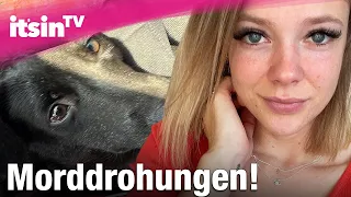 Wegen Hund Dobby: Anne Wünsches Familie wird bedroht | It's in TV