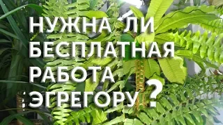 Нужна ли бесплатная работа эгрегору?